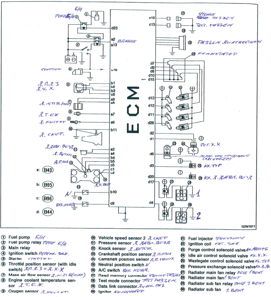 Wiring Diagram